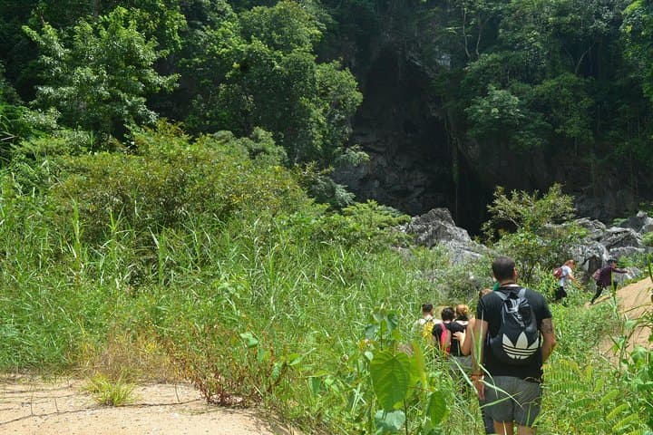 Elephant Cave and Ma Da Valley One-Day Jungle Trek in Phong Nha-Ke Bang photo 2