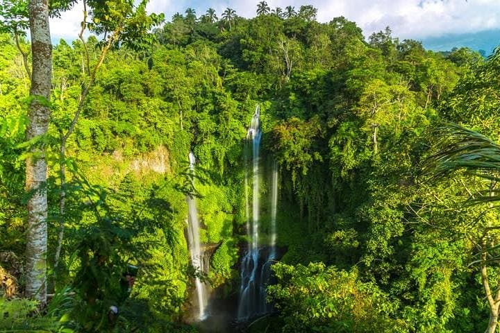 Sekumpul Waterfall Jungle Trek from Ubud — Small-Group Day Hike with Lunch