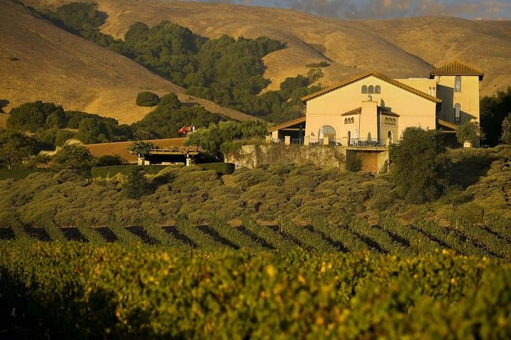 Muir Woods and Napa: 8-Hour Private Scenic Wine Tour from San Francisco photo 2