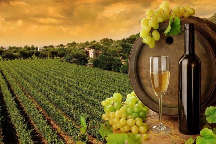 Private Napa & Sonoma Wine Tour from San Francisco — 8–10hr with Custom Half Case