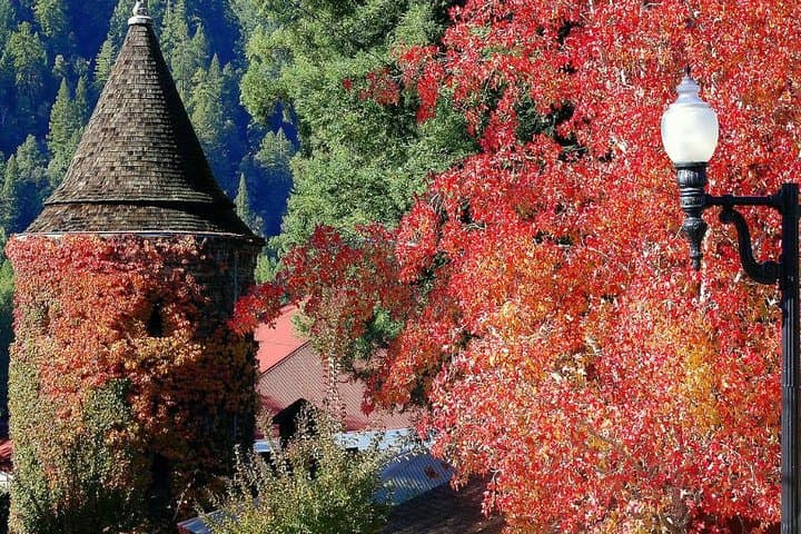 Private Napa & Sonoma Wine Tour from San Francisco — 8–10hr with Custom Half Case photo 2