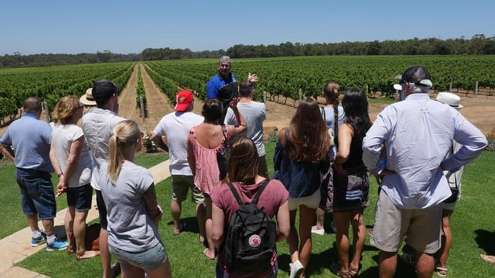 Margaret River Full Bottle Wine Tour — Barrel Tastings, Chocolates & Country Lunch photo 2