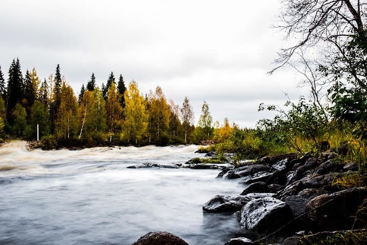 Arctic Wilderness Photography Expedition — Rovaniemi Half-Day Summer & Autumn photo 2