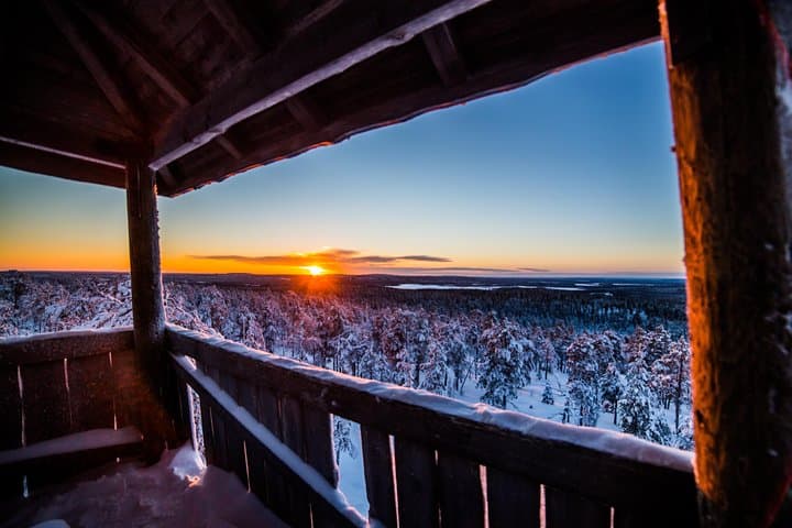 Arctic Wilderness Photography Hike Near Rovaniemi — Half-Day Lapland Expedition photo 3