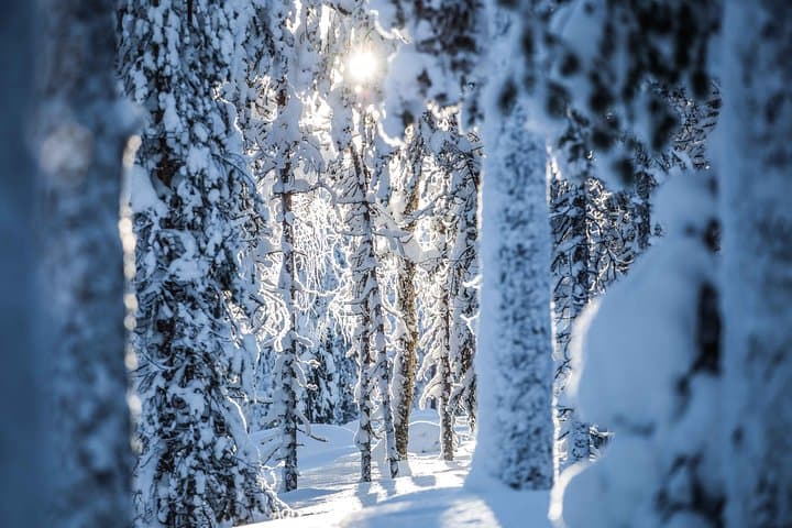 Lapland backcountry skiing and Arctic photography from Rovaniemi photo 6
