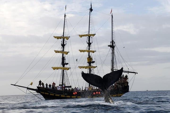 Sail the Bucaneer Queen: Whale-Watching Pirate Ship Cruise in Los Cabos photo 1