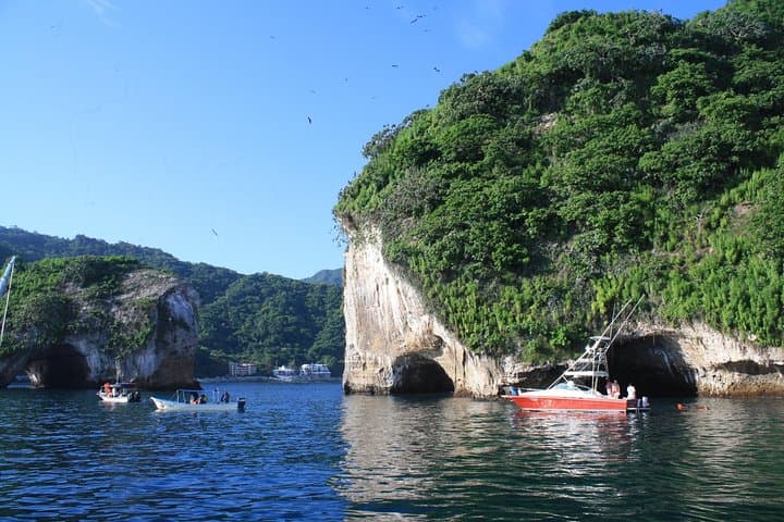 Snorkeling Los Arcos Puerto Vallarta: Small-Group Marine Biologist Tour