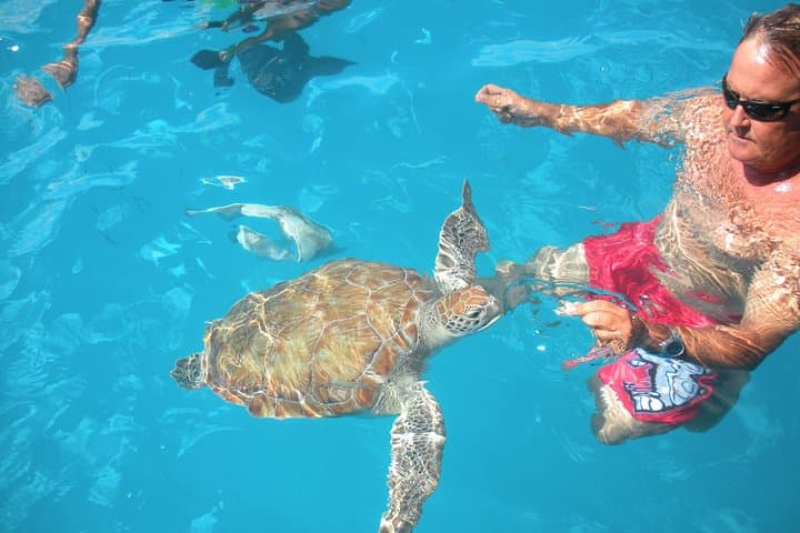 Sail and Snorkel: Barbados Catamaran Turtle Cruise with Lunch and Open Bar photo 4