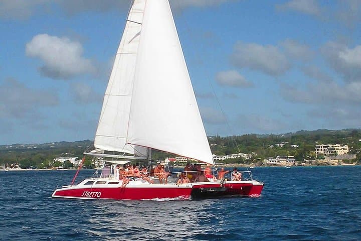 Barbados Catamaran Turtle Snorkel: Three-Hour Sail, Snorkel & Open Bar photo 2