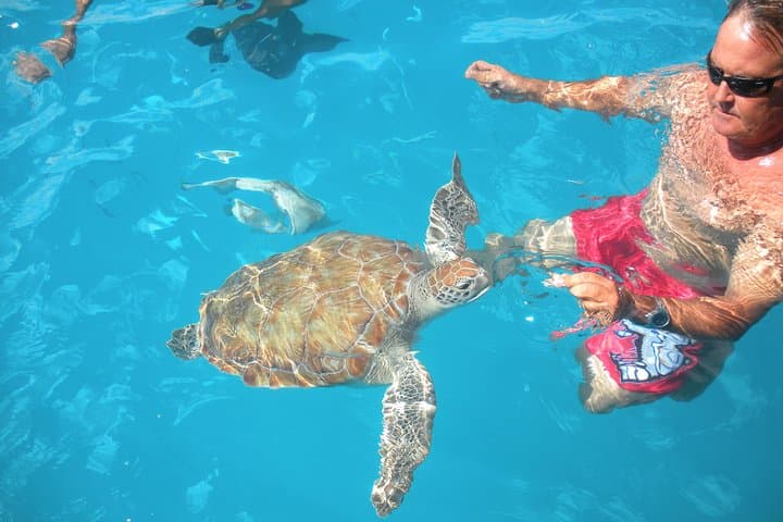Barbados Catamaran Turtle Snorkel: Three-Hour Sail, Snorkel & Open Bar photo 3