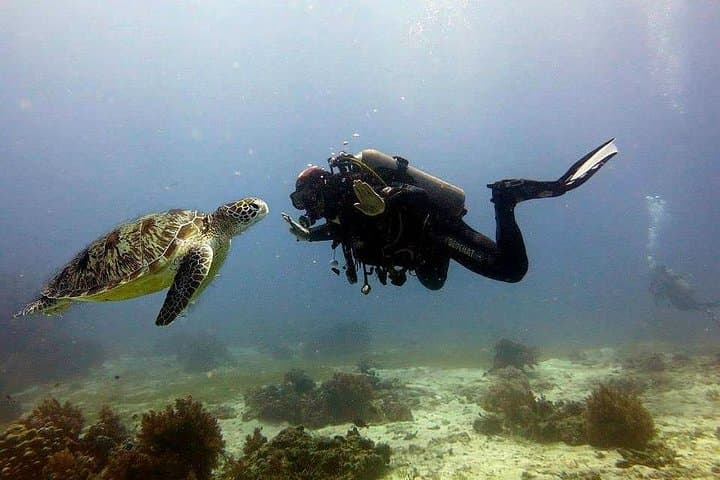 Panglao Scuba: Bohol Dive Courses and Discover Scuba Day Trips photo 2
