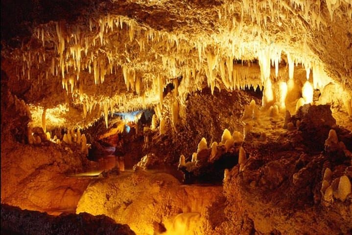 Exploring Harrison's Cave: Guided Tram Tour from Bridgetown