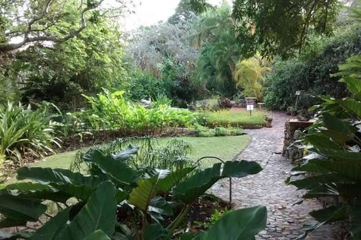 Garden Delight in Barbados: Full-Day Tour of Hunte's, Andromeda & the Botanical Garden