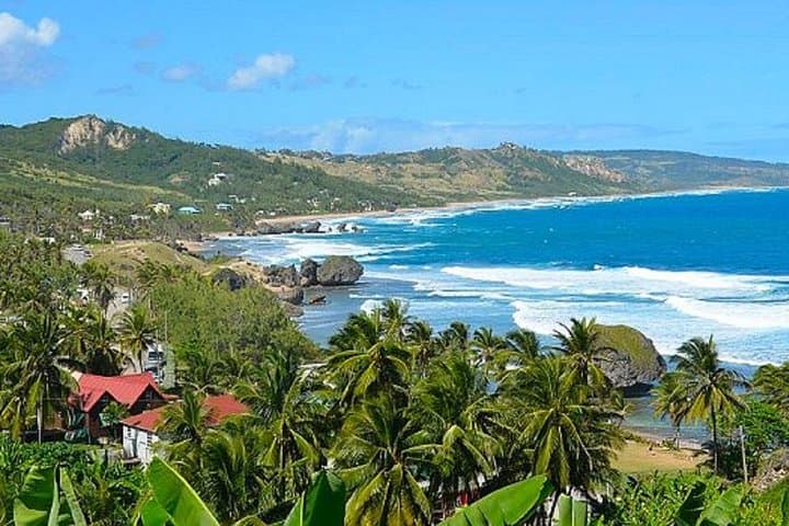 Barbados Island Tour: Lunch, Flower Forest & Wildlife Sanctuary Adventure