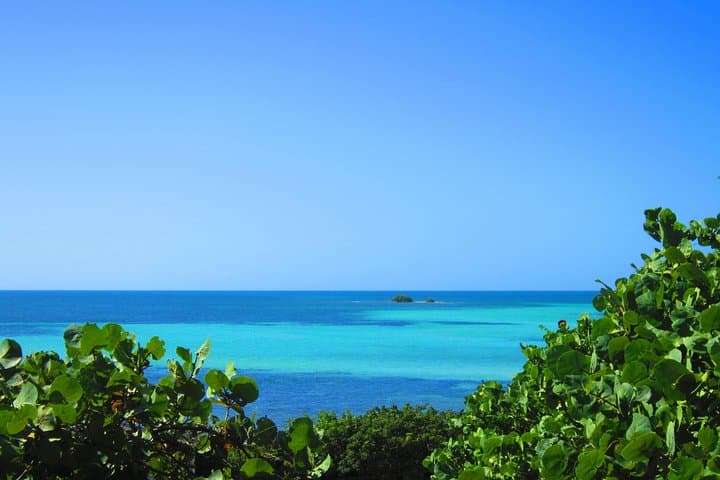 Exploring the Florida Keys: A Full-Day Road Trip from Key West with Aquarium Encounters photo 5