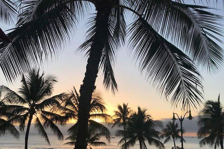 Oahu Personalized Private Tour — 6–8 Hour Custom Island Highlights from Honolulu