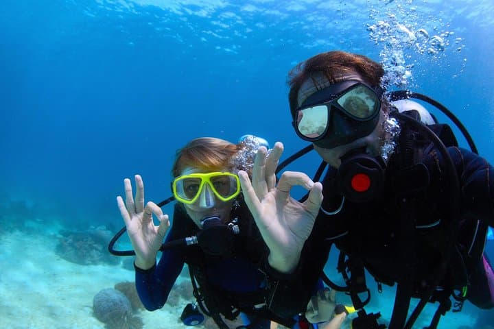 Riviera Maya Scuba Referral: Finish Open Water Certification with Maroma Beach Dives photo 5