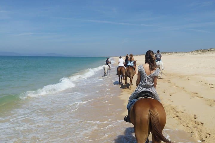 Horse Riding on the Comporta Beaches from Lisbon — 1.5-Hour Coastal Horseback Tour