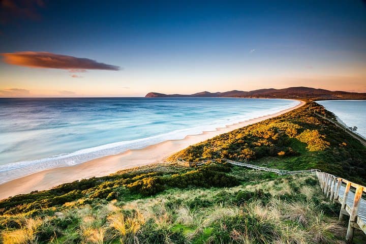 Bruny Island Day Tour from Hobart: Beaches, Oysters & Cape Views photo 1