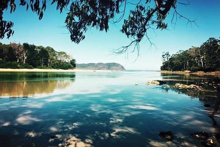 Bruny Island Day Tour from Hobart: Beaches, Oysters & Cape Views photo 2