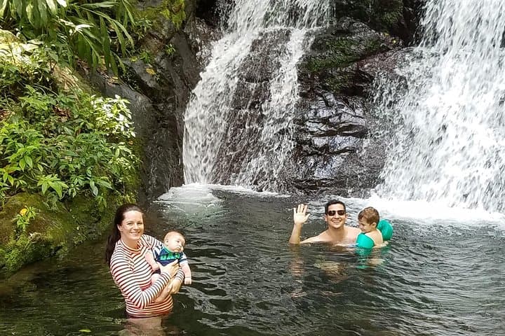 Sacred Rainforest and Taíno Petroglyphs: Toro Negro to Zama Full-Day Tour