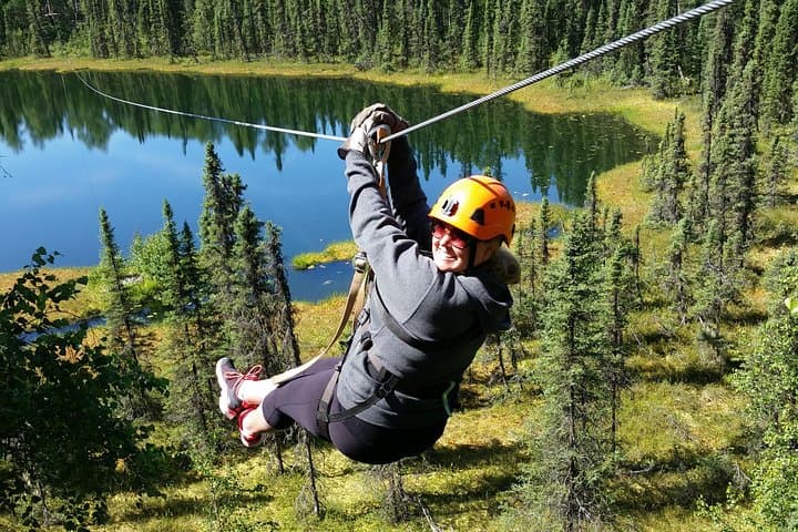 Soar the Alaska Range: Denali Zipline Adventure Near Talkeetna