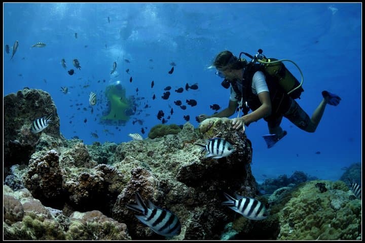 Bora Bora Underwater Scooter & Snorkel — Lagoon Dome Ride photo 3