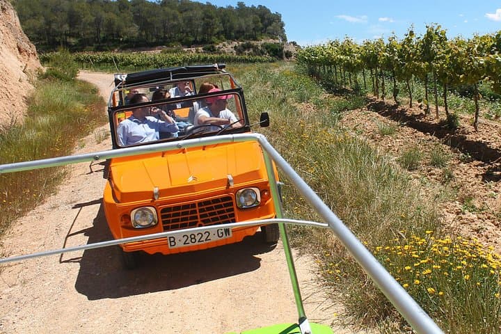 Mehari Route Through Penedès Vineyards with Cava Tasting at Can Nadal de la Boadella photo 3