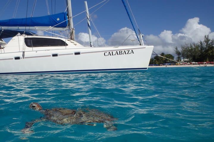 Bridgetown Catamaran Cruise: 5-Hour Snorkel with Turtles & Shipwrecks