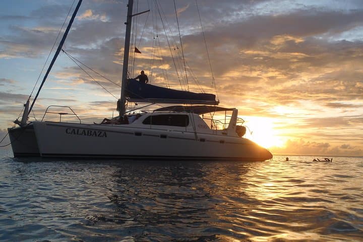 Sunset Catamaran Cruise from Bridgetown: Snorkel with Turtles & Shipwreck Reefs