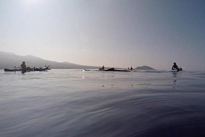 Makena Whale Watching and Snorkel — Kayak With Humpback Whales in South Maui photo 2