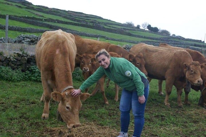 Day at the Farm: Terceira Island Agritour & Dairy Tasting photo 2