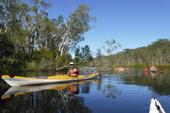 Self-Guided Noosa Everglades Kayak Tour: Lake Cootharaba to Harry's Hut photo 1