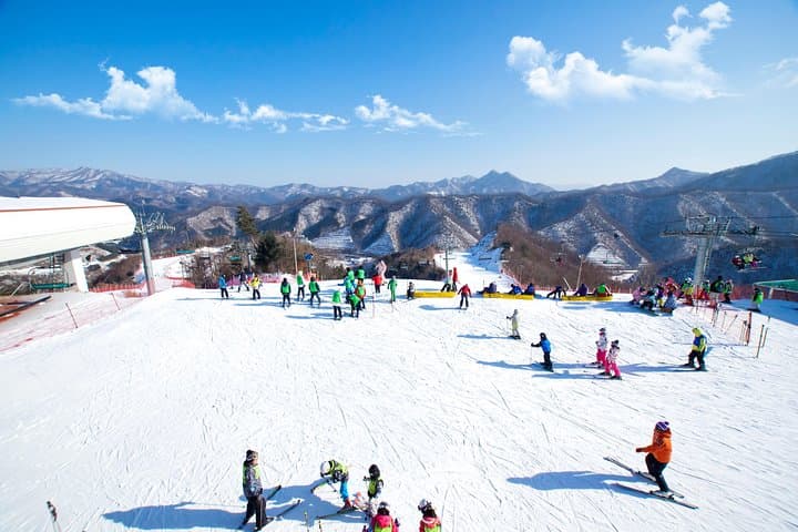 Elysian Gangchon Winter Ski & Nami Island Day Trip from Seoul photo 1