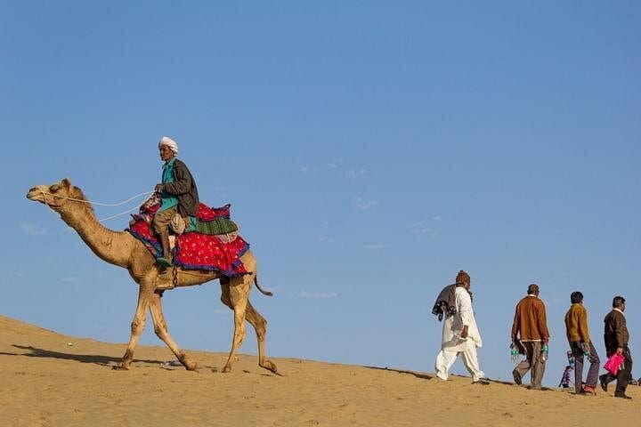 15-Day Private Grand Heritage Rajasthan Tour — Forts, Palaces & Desert Nights photo 2