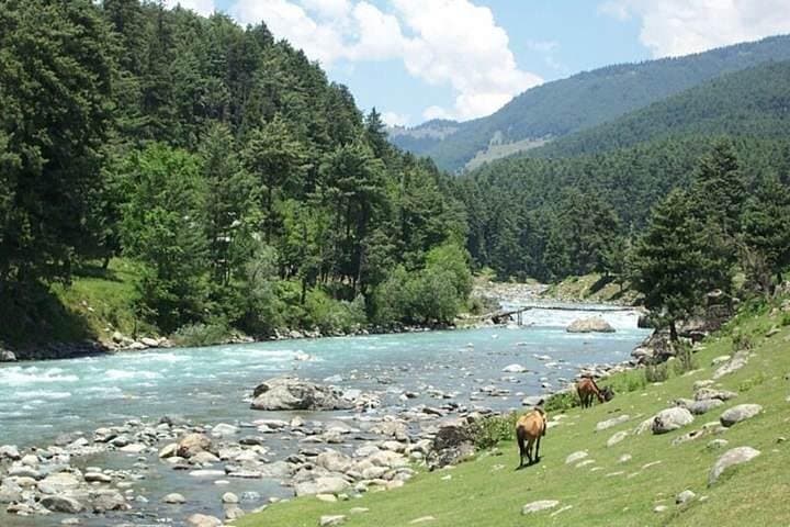 Private 6-Night Kashmir Tour: Srinagar, Gulmarg, Sonamarg & Pahalgam photo 2