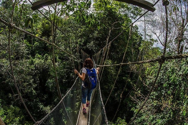 Kinabalu Park & Poring Hot Springs: Day Trip from Kota Kinabalu photo 2