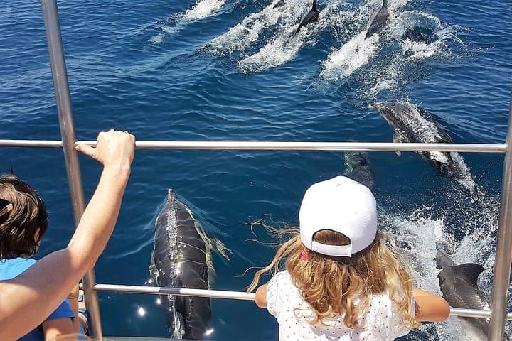 Dolphin Watching Catamaran Cruise from Lagos, Algarve photo 2