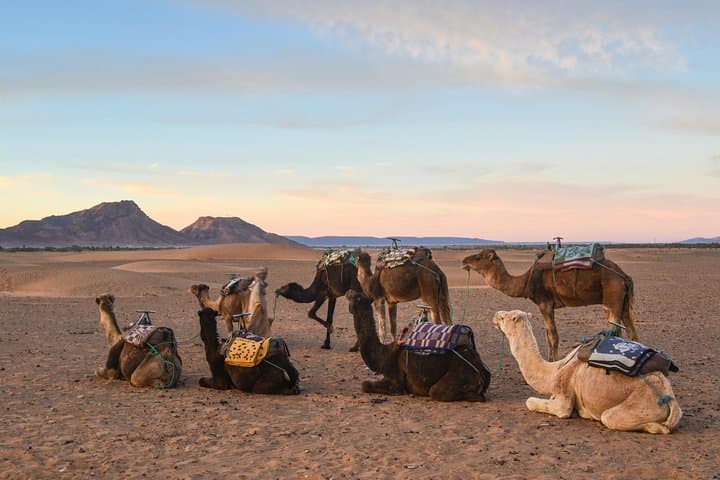 2-Day Marrakech to Zagora via Ouarzazate — Ait Ben Haddou & Draa Valley Desert Camp photo 2