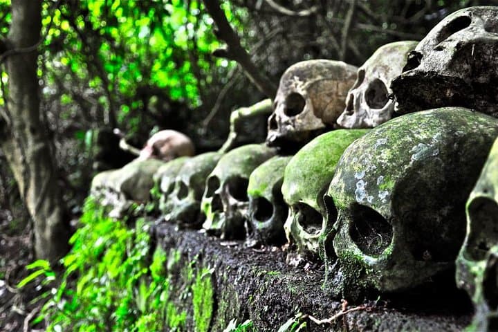 Trunyan Village Skull Island Bali: Private Cultural Tour from Ubud photo 3