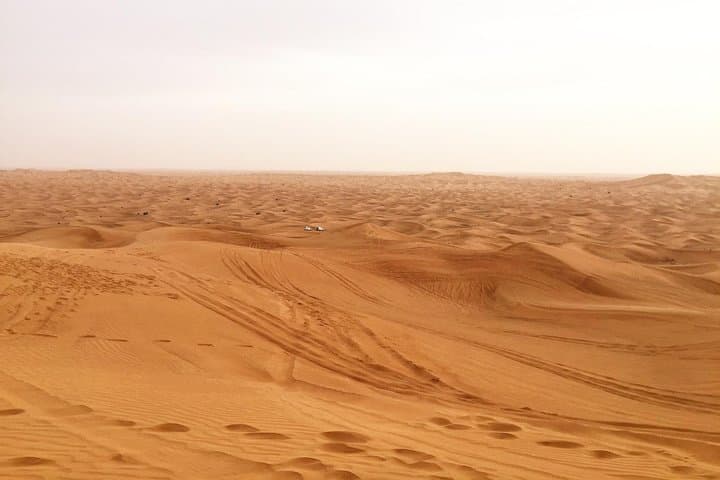 Dubai Red Dunes Morning Adventure: Dune Bashing, Sandboarding & Camel Rides