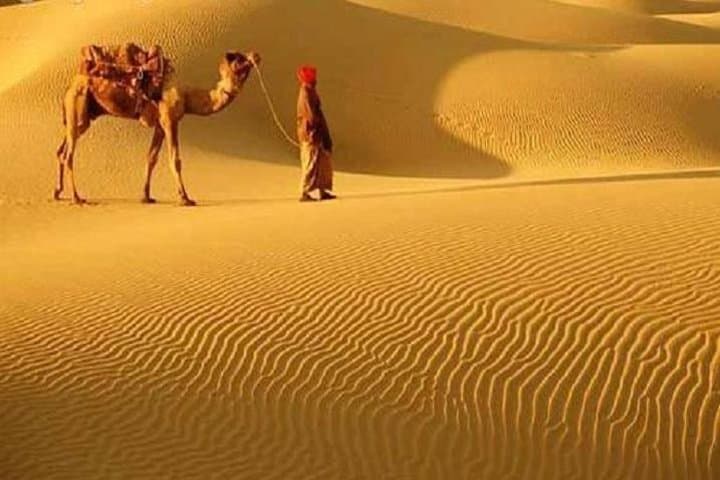 Camel Safari in the Thar: High Tea & Folk Music Near Bikaner