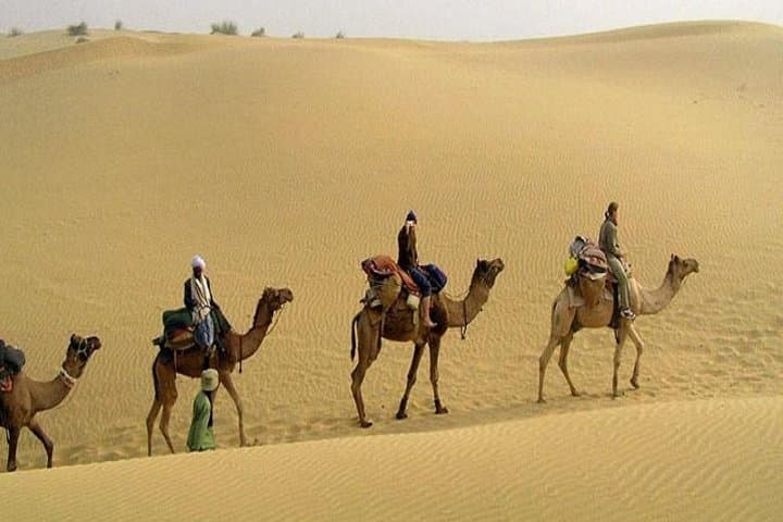 Osian Camel Safari: Sunset Temple Tour from Jodhpur