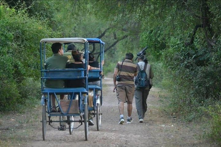 Golden Triangle 7-Day Private Tour: Taj, Amber Fort and Keoladeo Bird Sanctuary photo 2