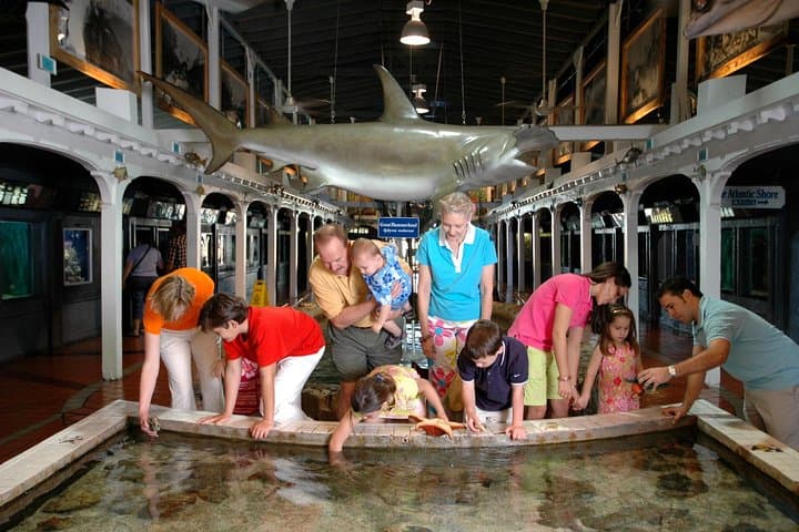 Exploring the Depths: A Visit to Key West Aquarium’s Interactive Ocean World