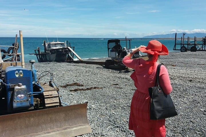 Coastal Drive from Martinborough to Cape Palliser: Wine, Seals & Lighthouse Views photo 3