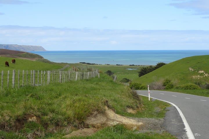 Coastal Drive from Martinborough to Cape Palliser: Wine, Seals & Lighthouse Views photo 2