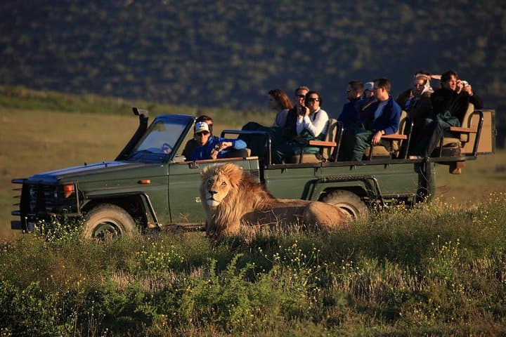 2-Day Garden Route Safari from Cape Town — Big Five Lodge Experience