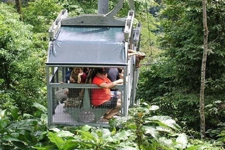 Veragua Rainforest Canopy Tram & Trails: Caribbean Costa Rica Rainforest Expedition