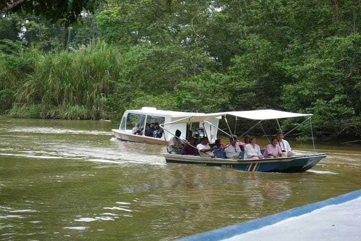 Puerto Limon Highlights Tour: Cahuita Rainforest & Tortuguero Canal